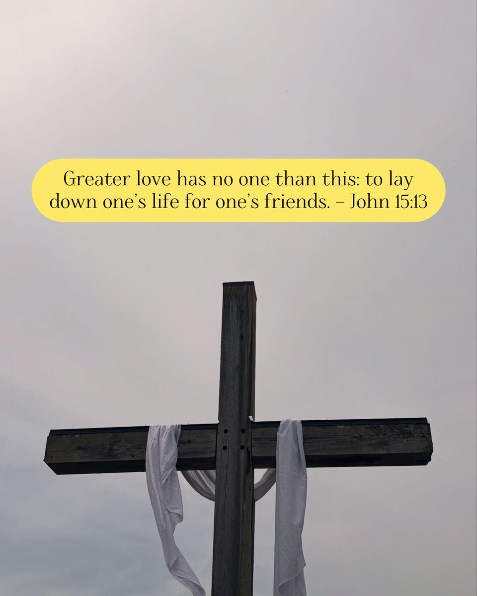 Holy Bible tweet media