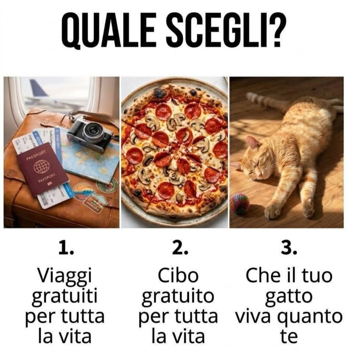 Real Volpe tweet media