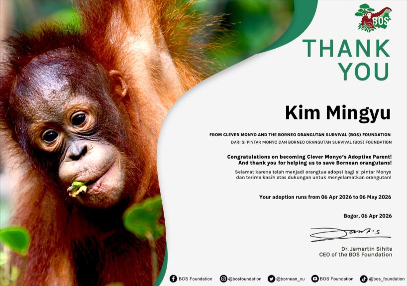 khai pembaik 🥑🥦⭐️ tweet media