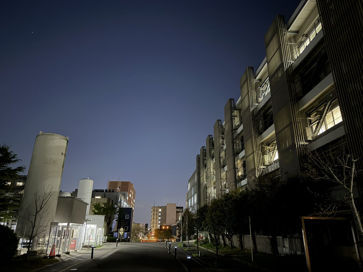 マントルくん tweet media