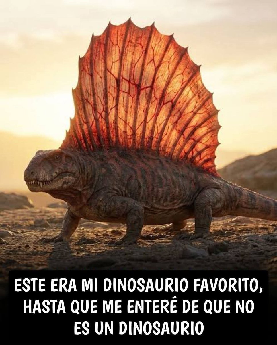 David Pascual Lopez tweet media