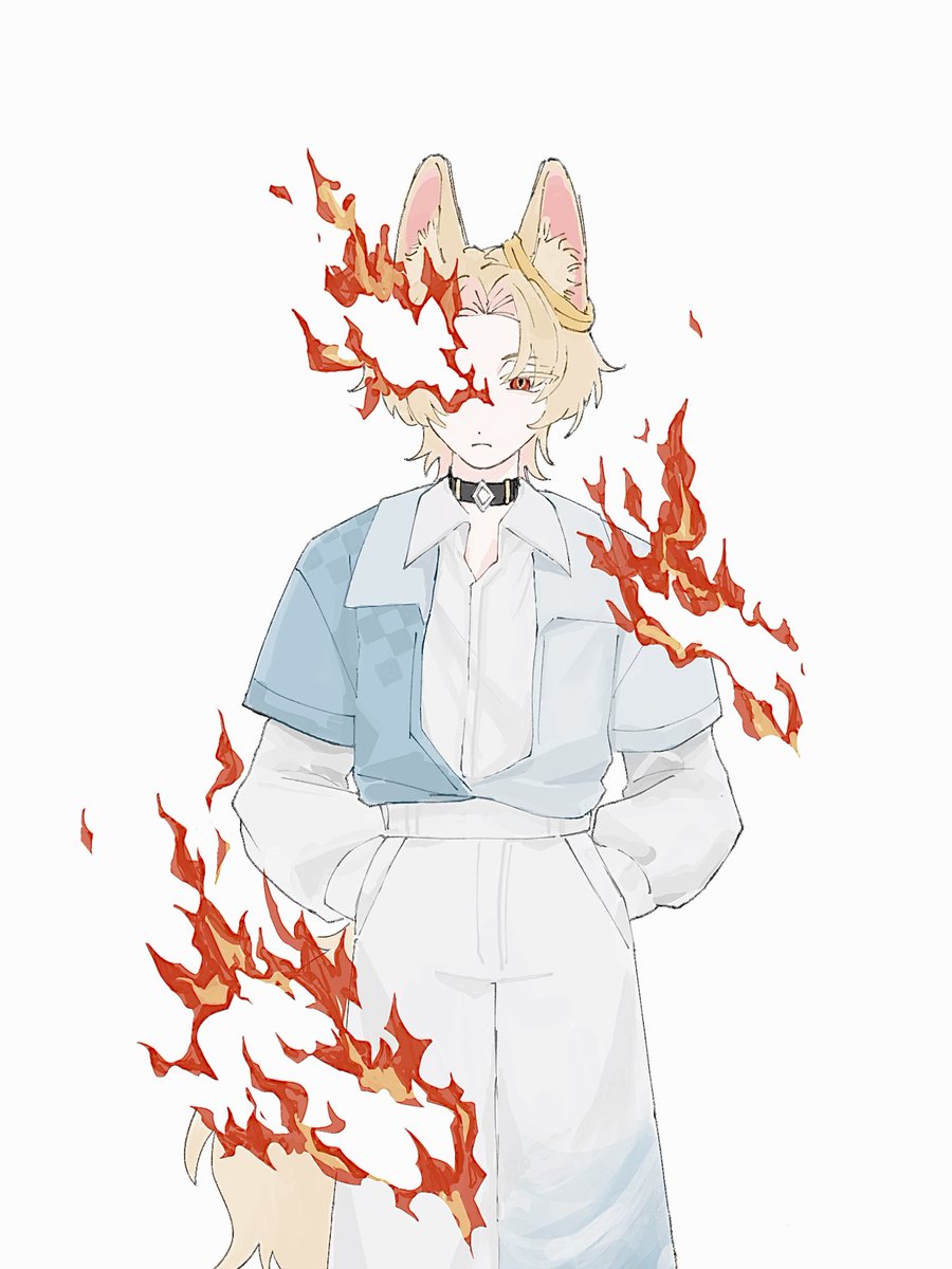 おいしいごはん tweet media