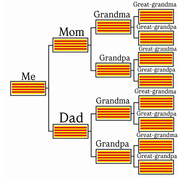 Lluc 🧅 tweet media