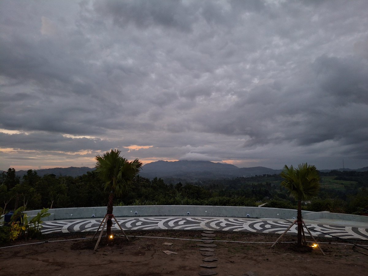 Rendy diburon elon. tweet media