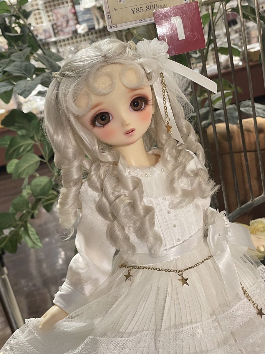 ミライ😺🧘😺 tweet media