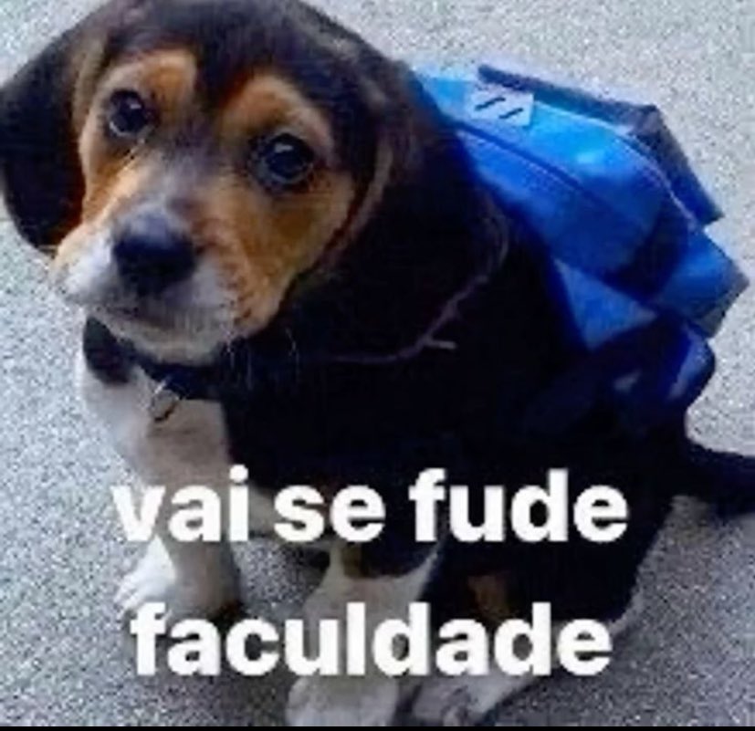 malumijo tweet media