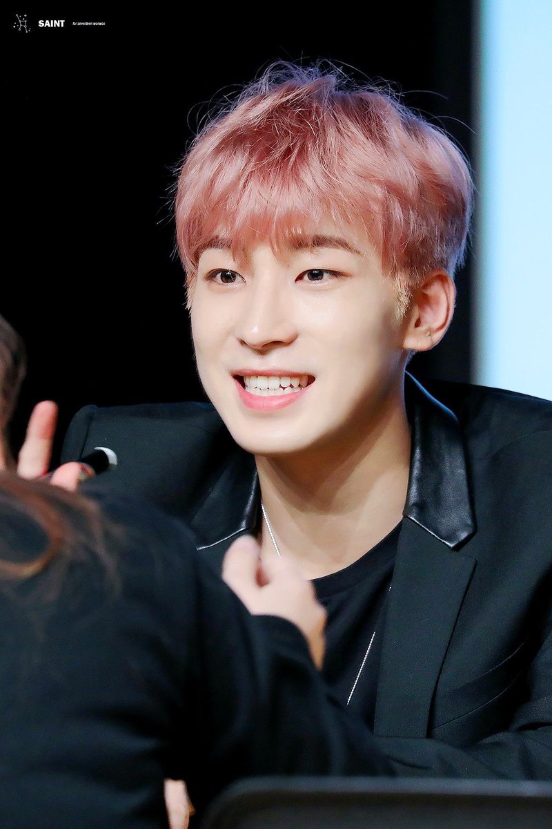 cat_Mount_'s tweet photo. 🌷 https://t.co/iMRk5lSucA