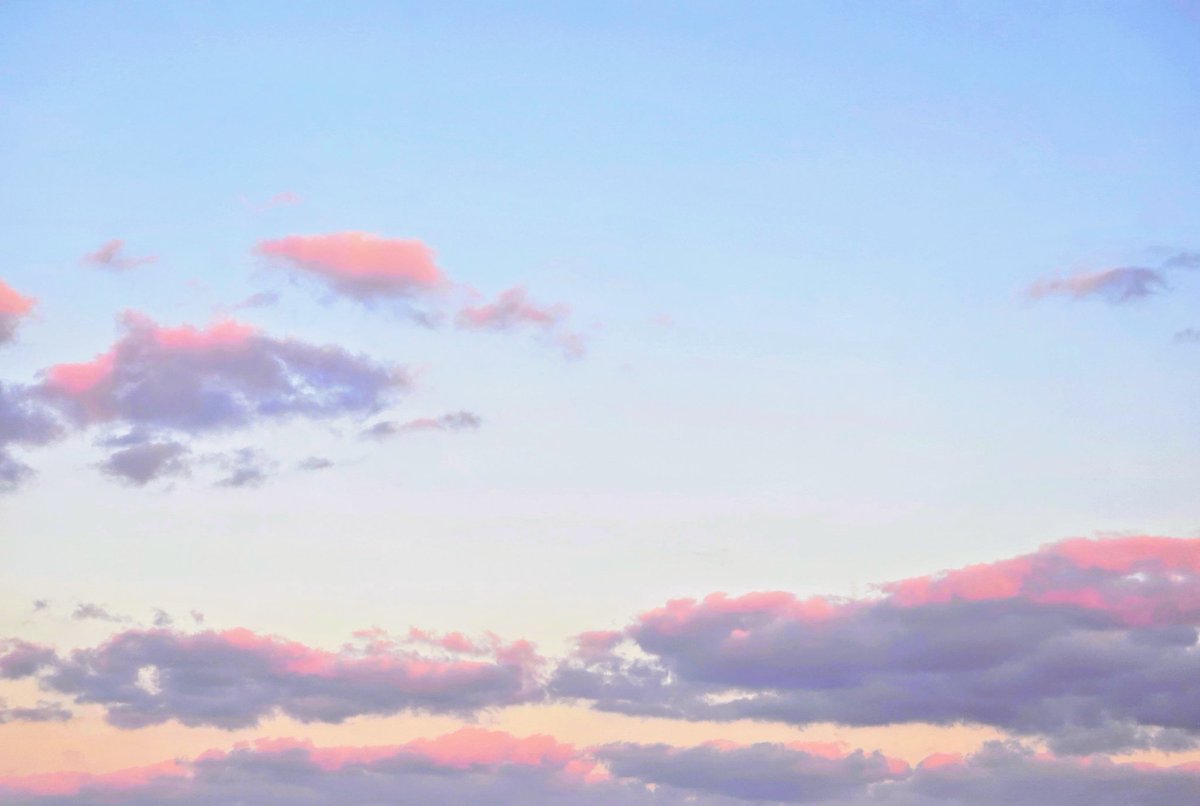 mirin🤍🩵 tweet media