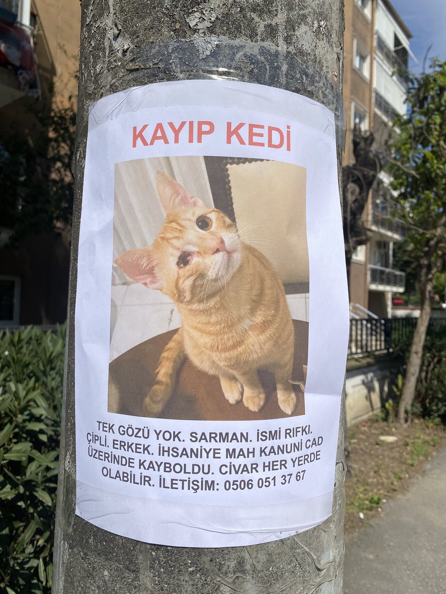 Venus Çipilgöd feat Bella Poğaçagöd 🤭 tweet media