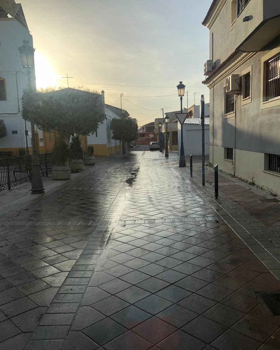 Sercomosa_News tweet media