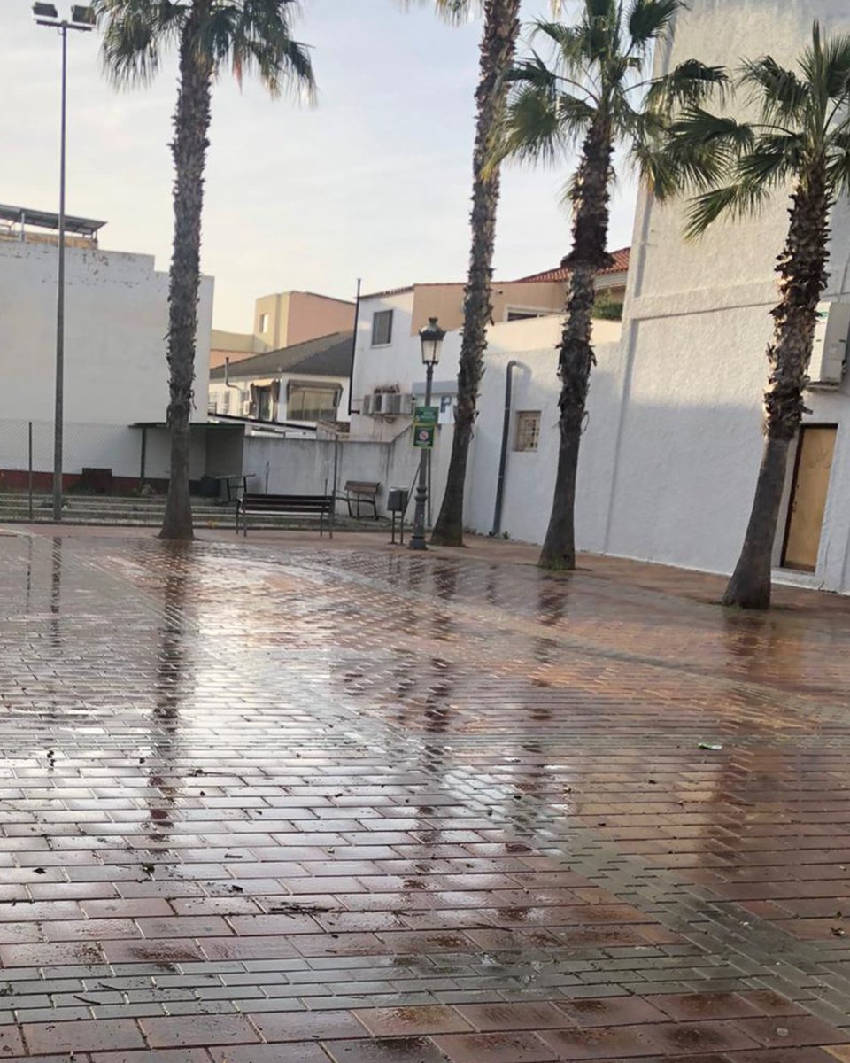 Sercomosa_News tweet media