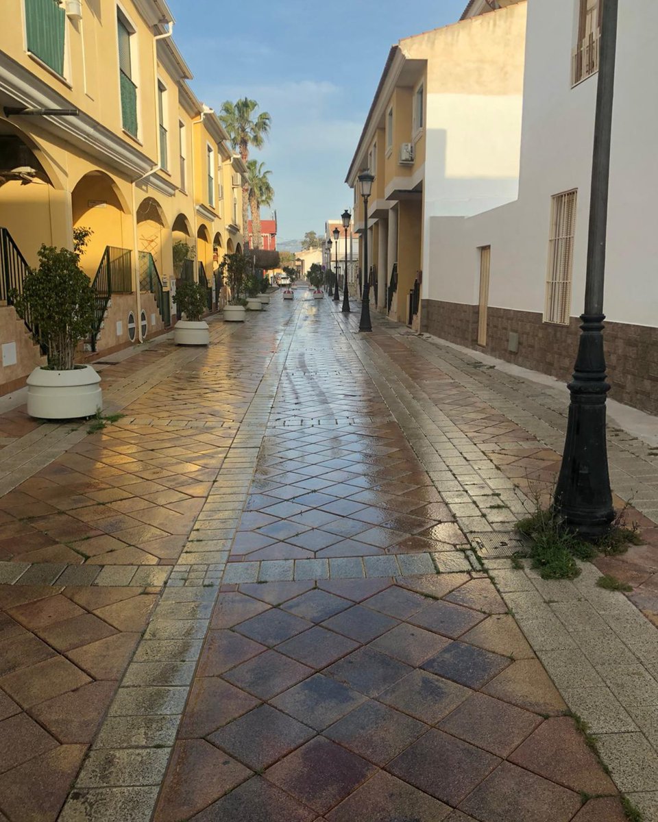 Sercomosa_News tweet media