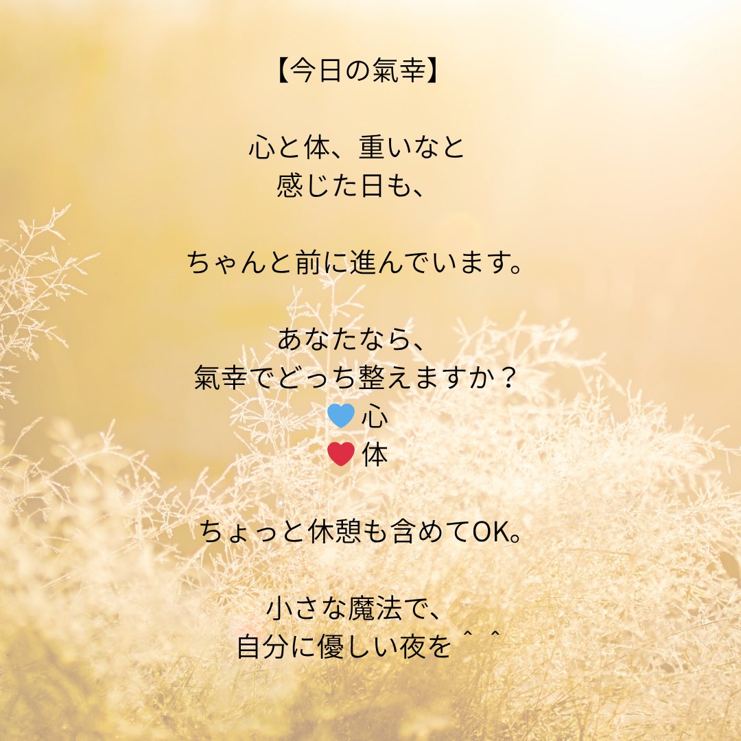 氣幸師NORIKO@言葉と意識で輝く日常 tweet media
