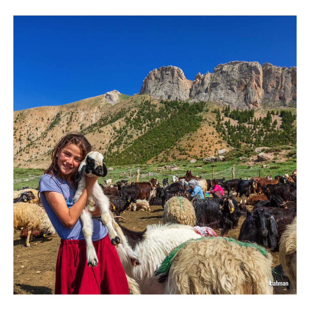 NiğdeFotoSafari tweet media