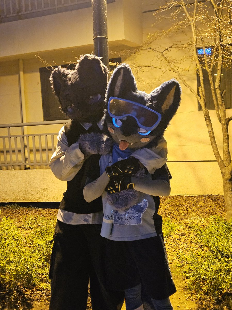 (네-하)네이버하드 tweet media