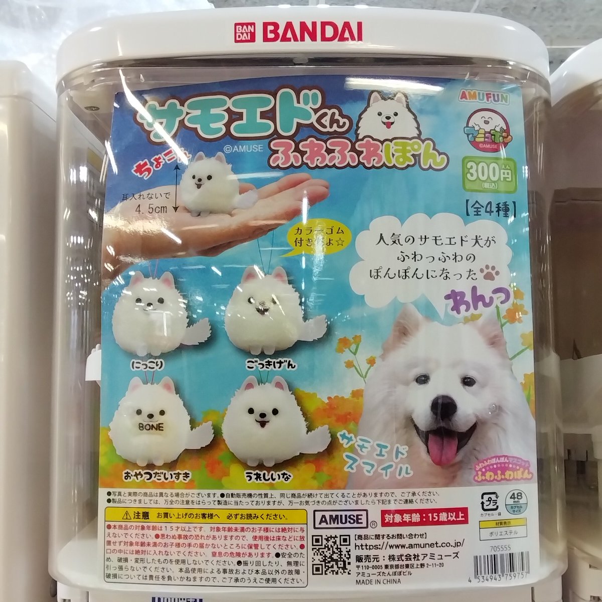 🎉新着ガチャ🎉 ・サモエドくん ふわふわぽん 投入いたしました