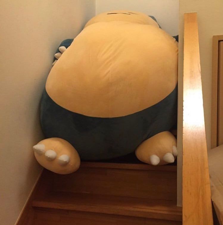 Pokémon Aesthetics tweet media