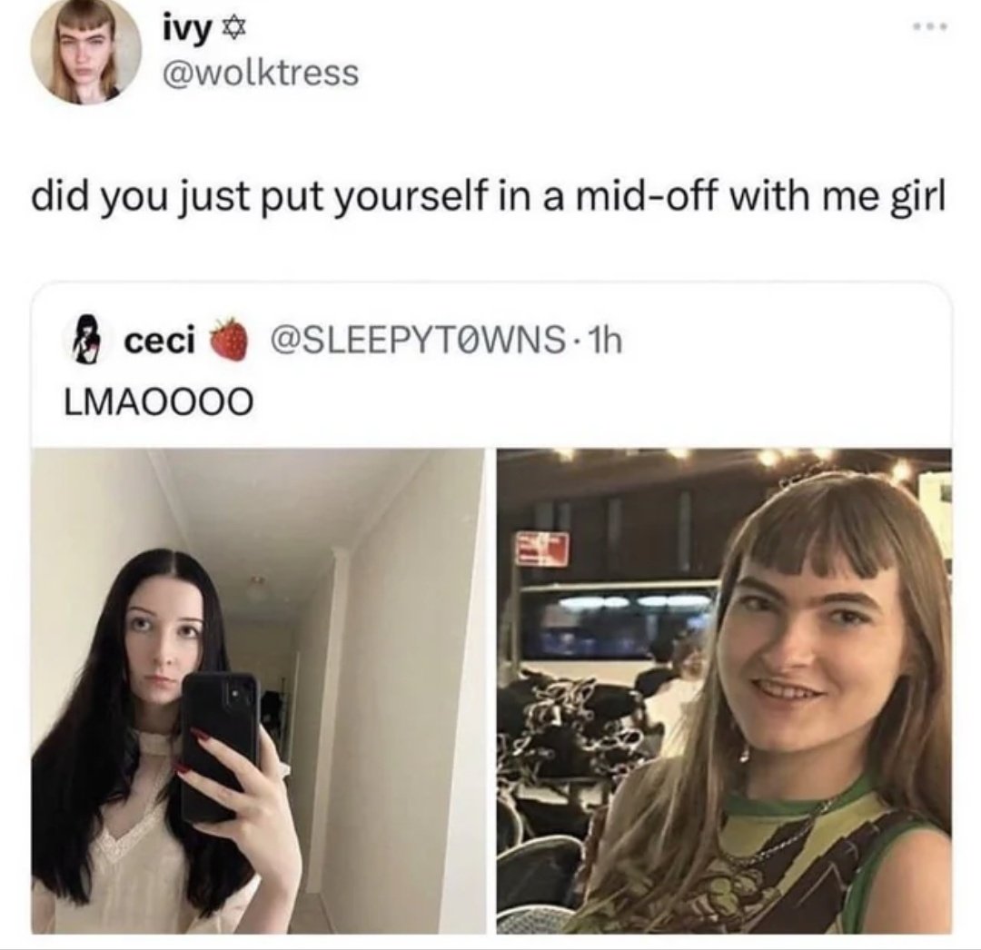 cigarro sabor shane hollander tweet media