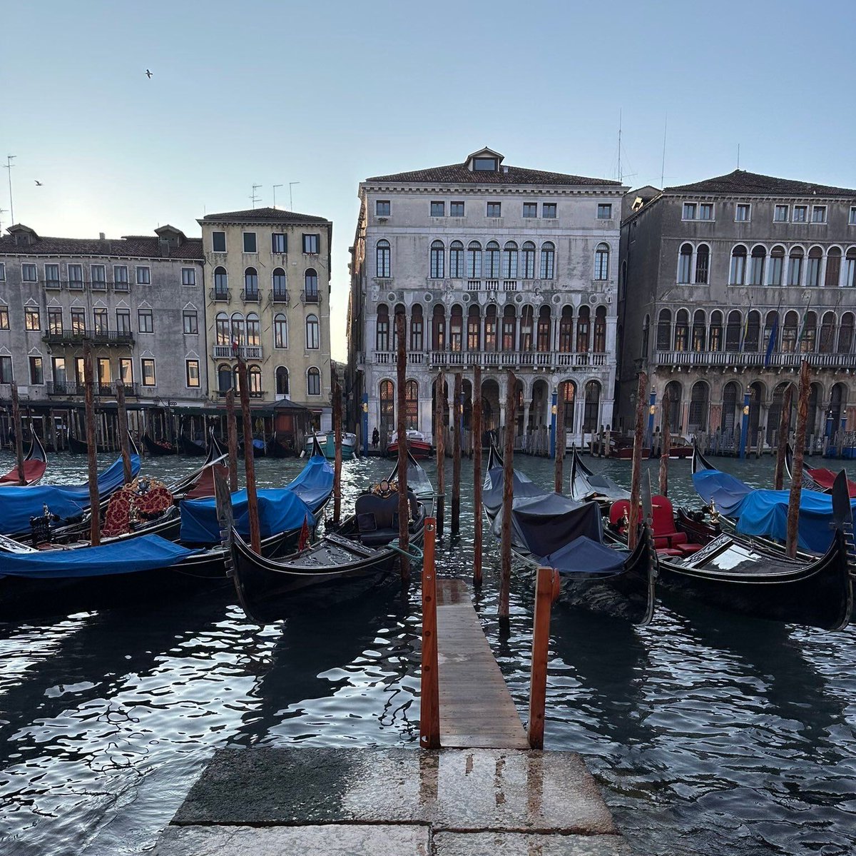 teatrolafenice's tweet photo. «La fortuna favorisce le menti preparate» (Leonardo da Vinci). Buona domenica, amici!

#17maggio https://t.co/qEDqJGfnhC