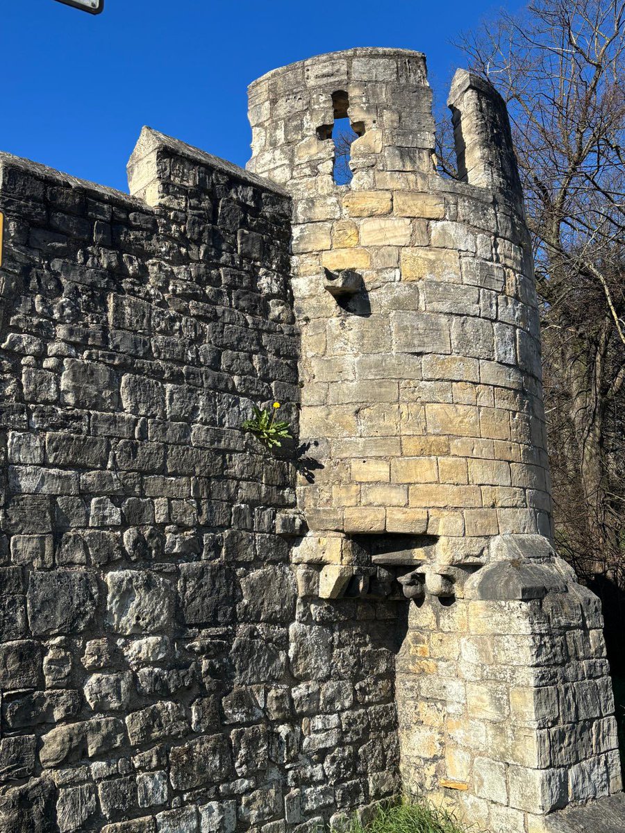 yorkgin's tweet image. Spring is sprung,
The grass is riz,
I wonder where the gin shop is.
In sunny York - on Pavement street,
Come and give yourself a treat! 
😎🥰🤣

📸 Our Nicki ❤️

@VisitYork 

#york #yorkengland #yorkuk #spring