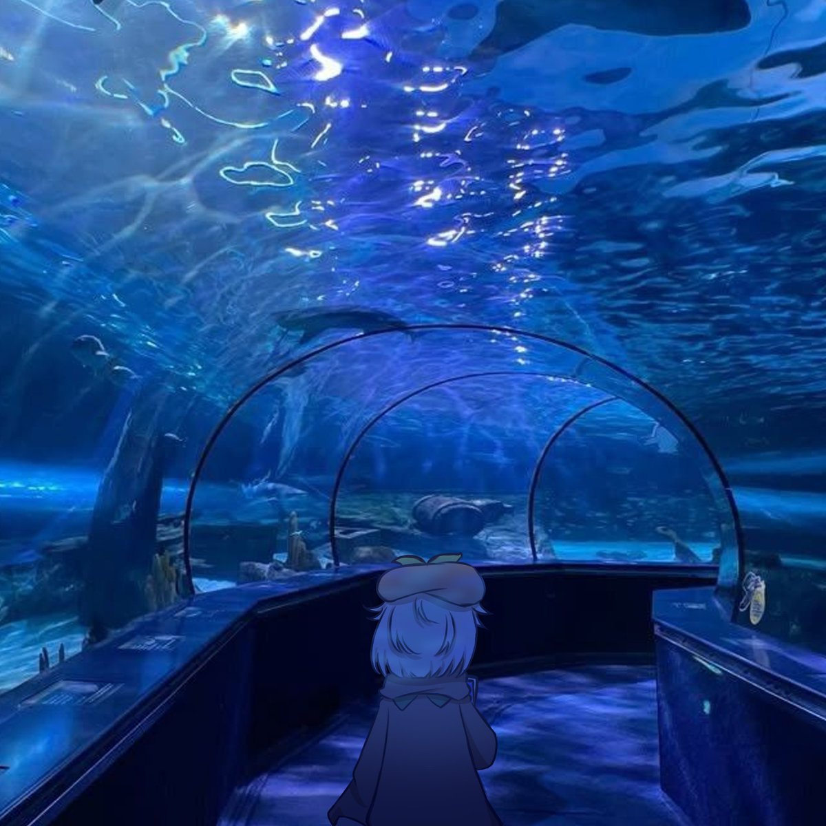 こだびび tweet media