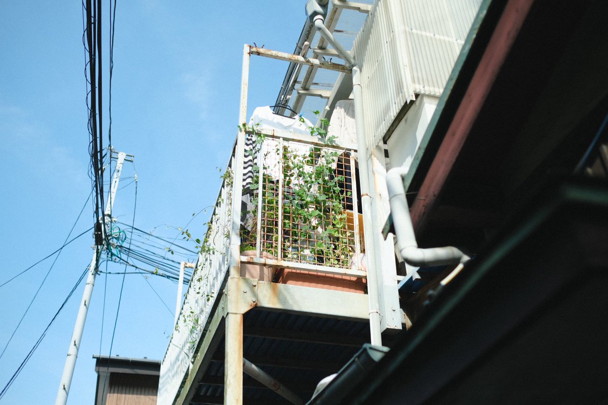 203号室 tweet media