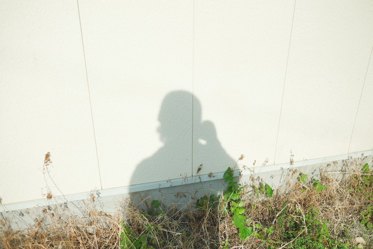 203号室 tweet media