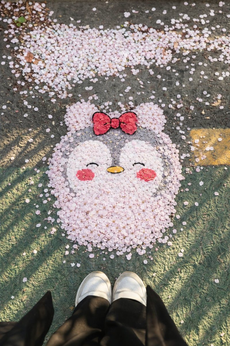 🍒Cherrycoco tweet media