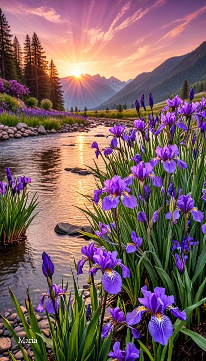 Sissylee721's tweet photo. Good Tuesday morning friends 💜“God’s in His Heaven – All’s right with the world.” ~ Robert Browning https://t.co/Iu67MHZ5WU