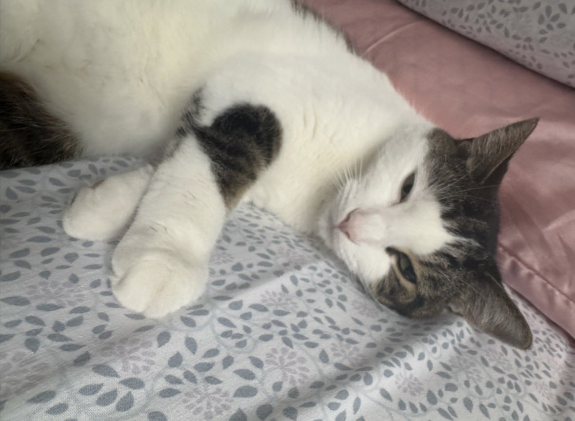 Adam (CW: jojo part 3) tweet media