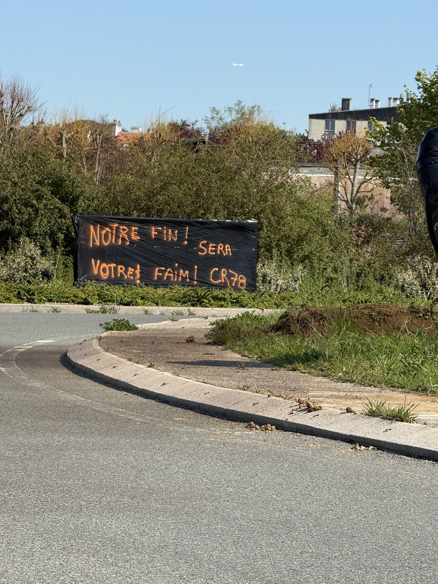 Manon 🇨🇵 🕊 tweet media