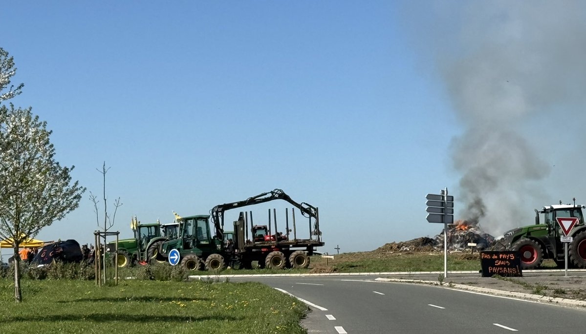 Manon 🇨🇵 🕊 tweet media