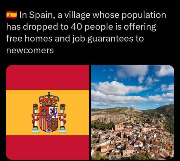 Davidmore 🟥 👽 tweet media