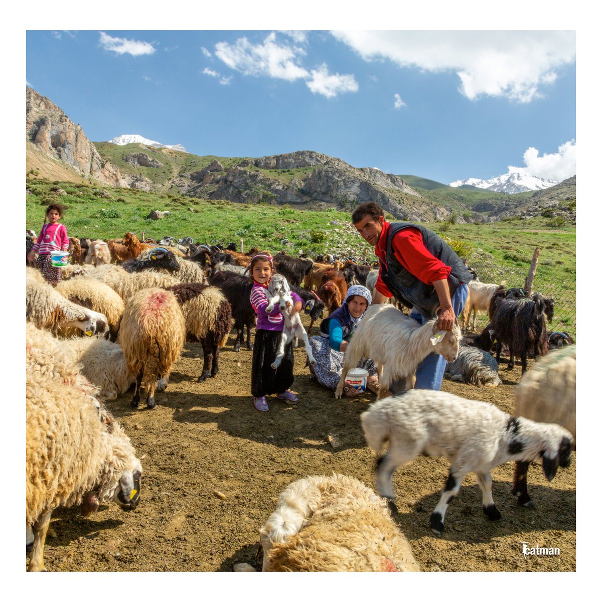 NiğdeFotoSafari tweet media