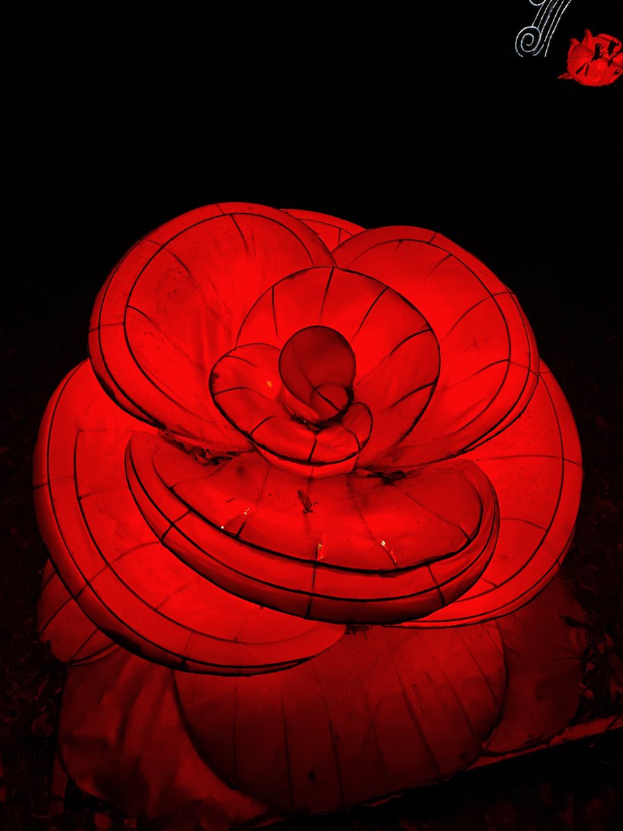 AlexDuicu's tweet image. Day 97/365 
Finding light in the dark
#ShotOnSnapdragon 
#ShotonOnePlus
#RepYourRed
@Snapdragon
@Snapdragon_UK
@Snapdragon_DE
@Snapdragon_FR
@gregcroc
@SnapdragonCarla