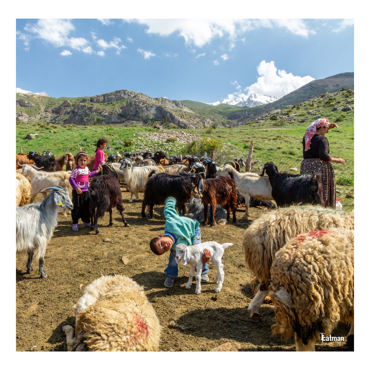 NiğdeFotoSafari tweet media