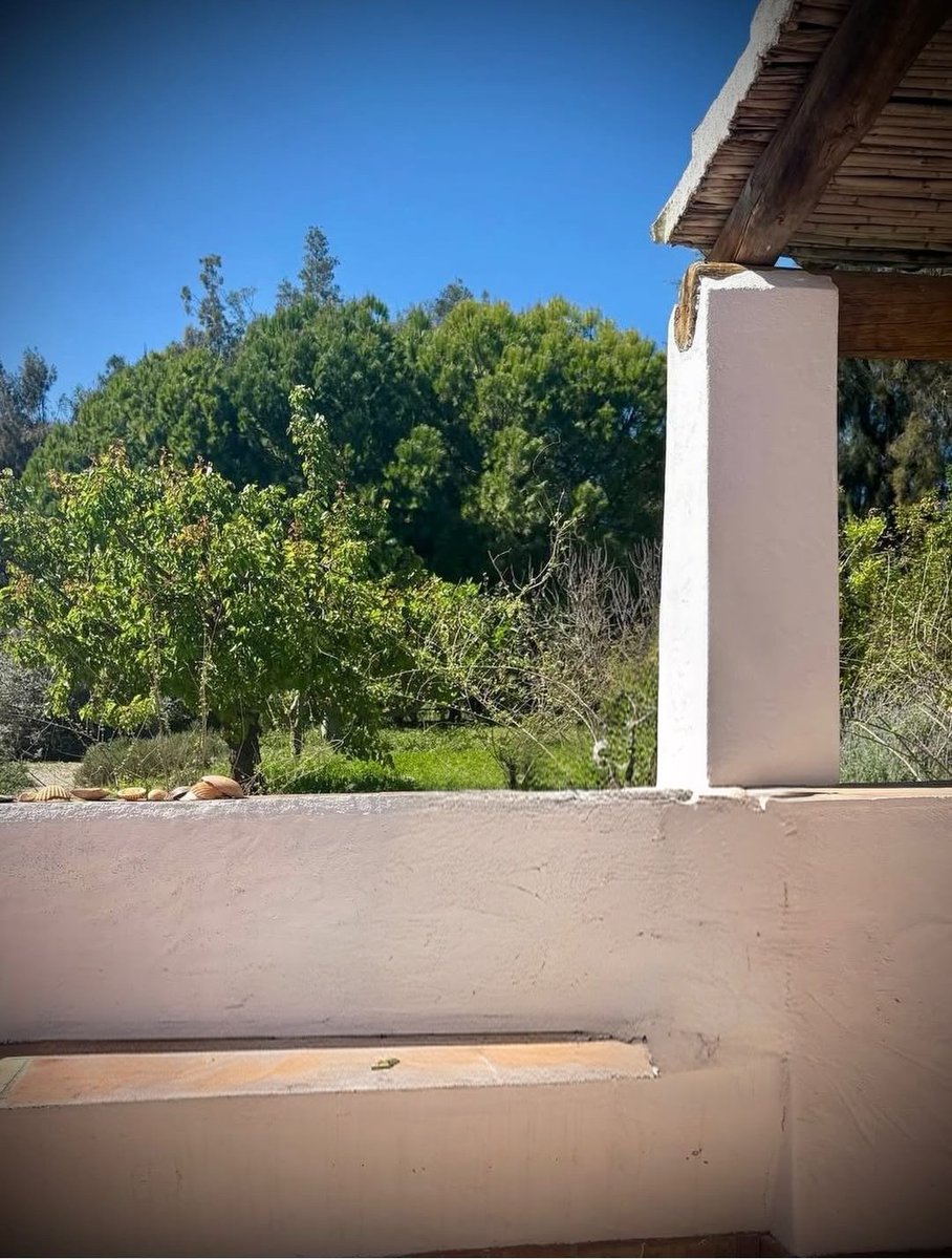 MartaSevilla tweet media