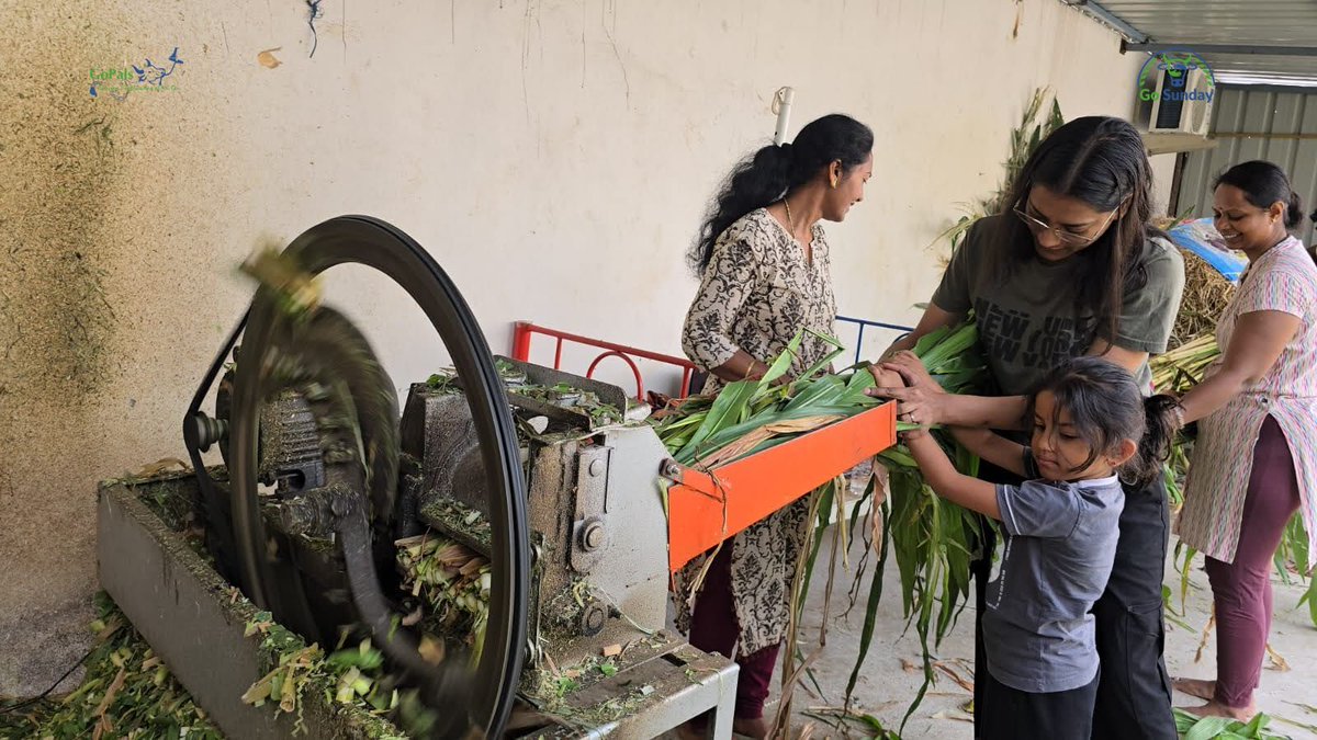 GoPals - Desi Gou Awareness Mission tweet media