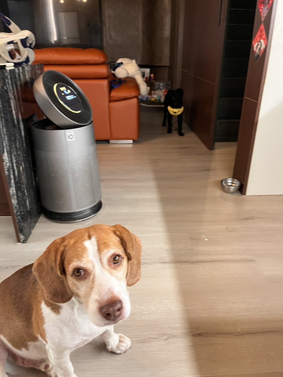 Magic_arbor🔞🇹🇼 tweet media