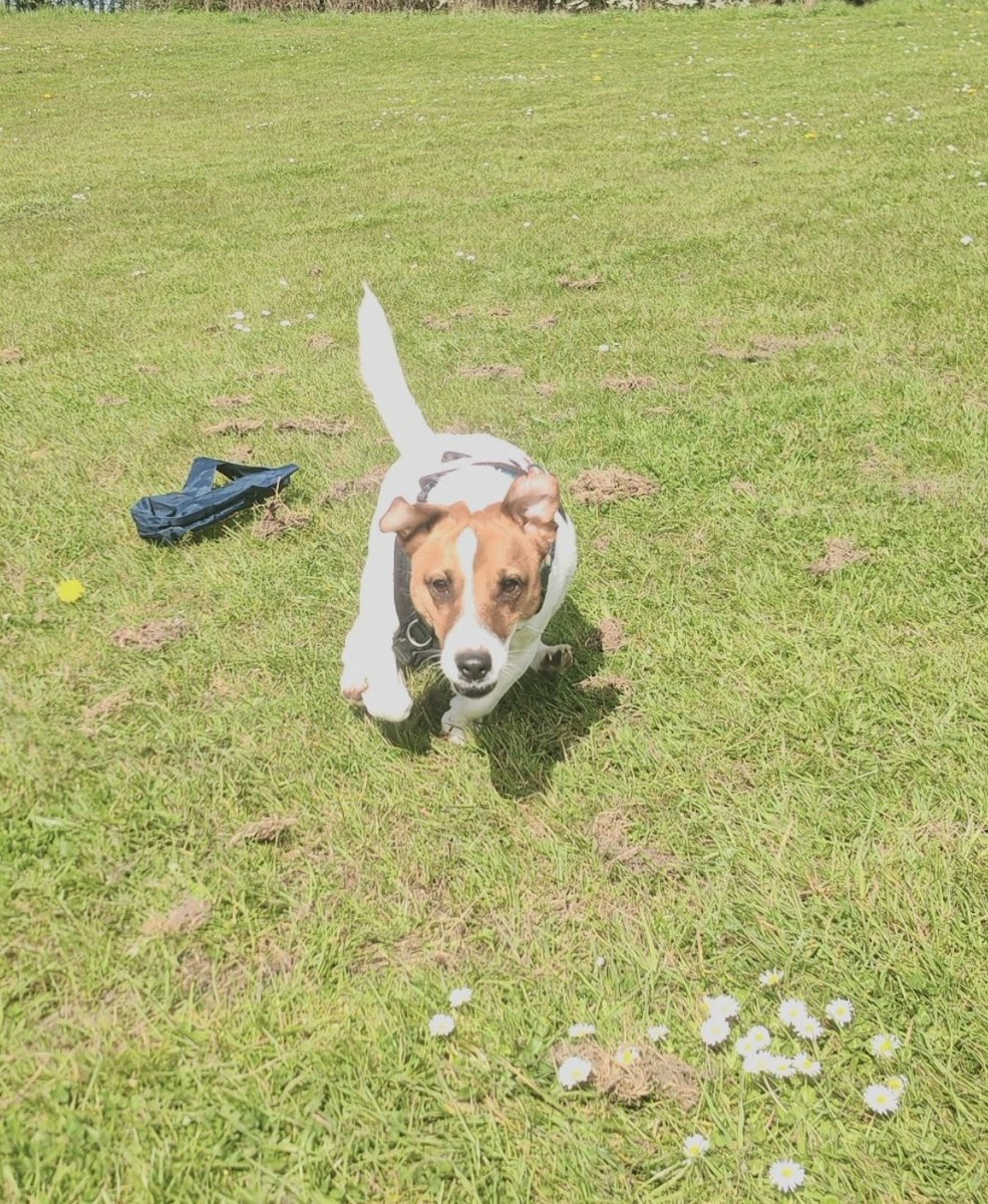 Davidhgaming tweet media