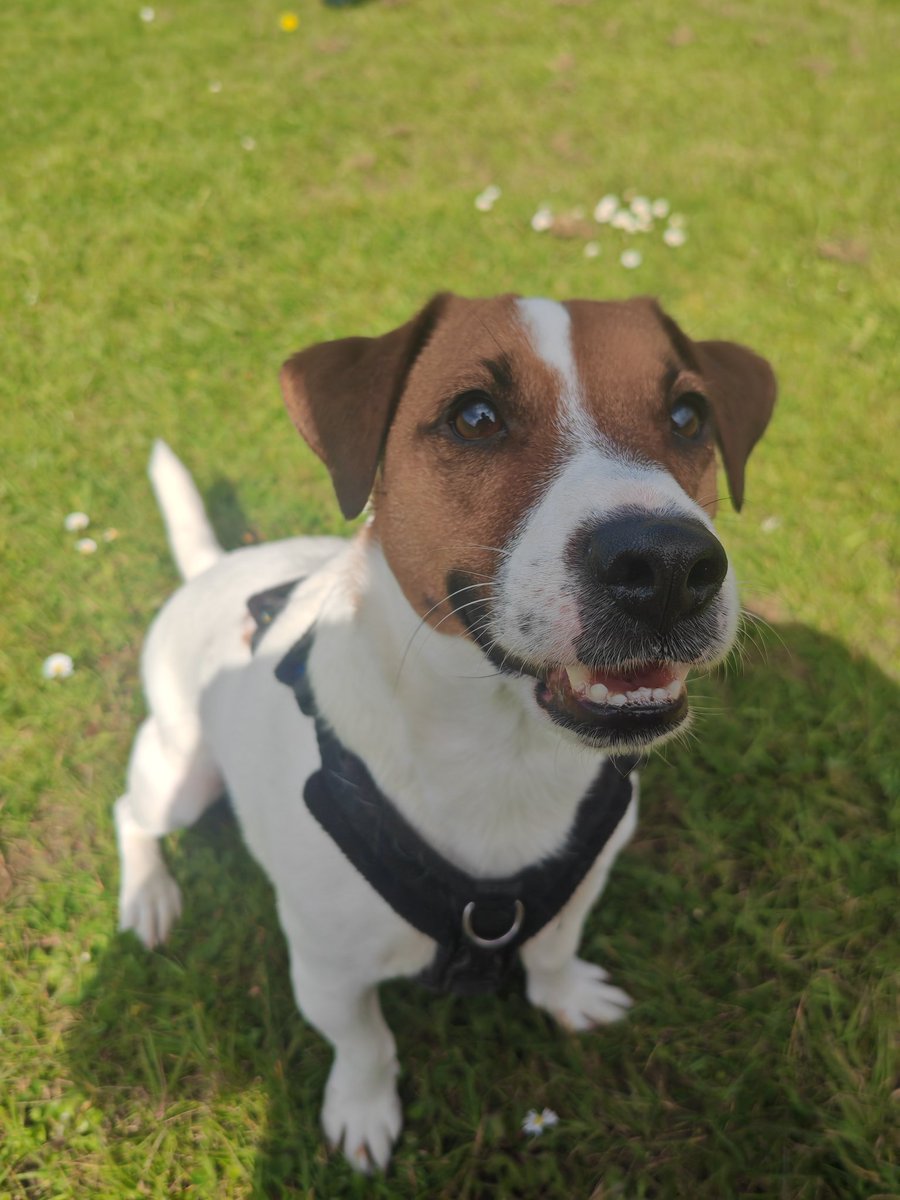 Davidhgaming tweet media