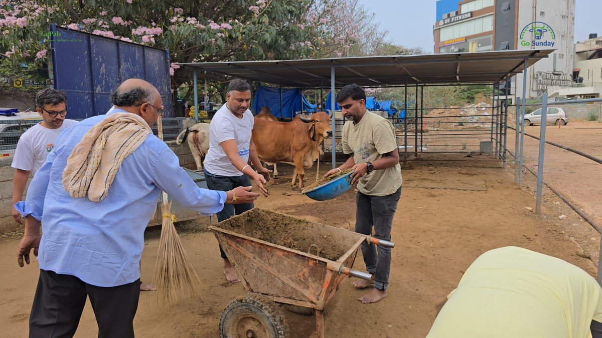 GoPals - Desi Gou Awareness Mission tweet media