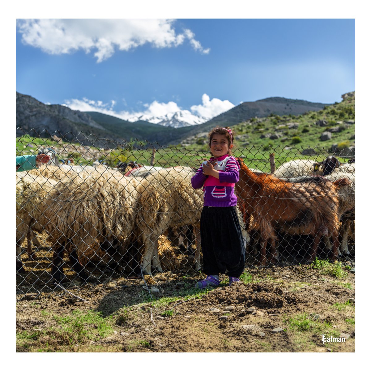 NiğdeFotoSafari tweet media