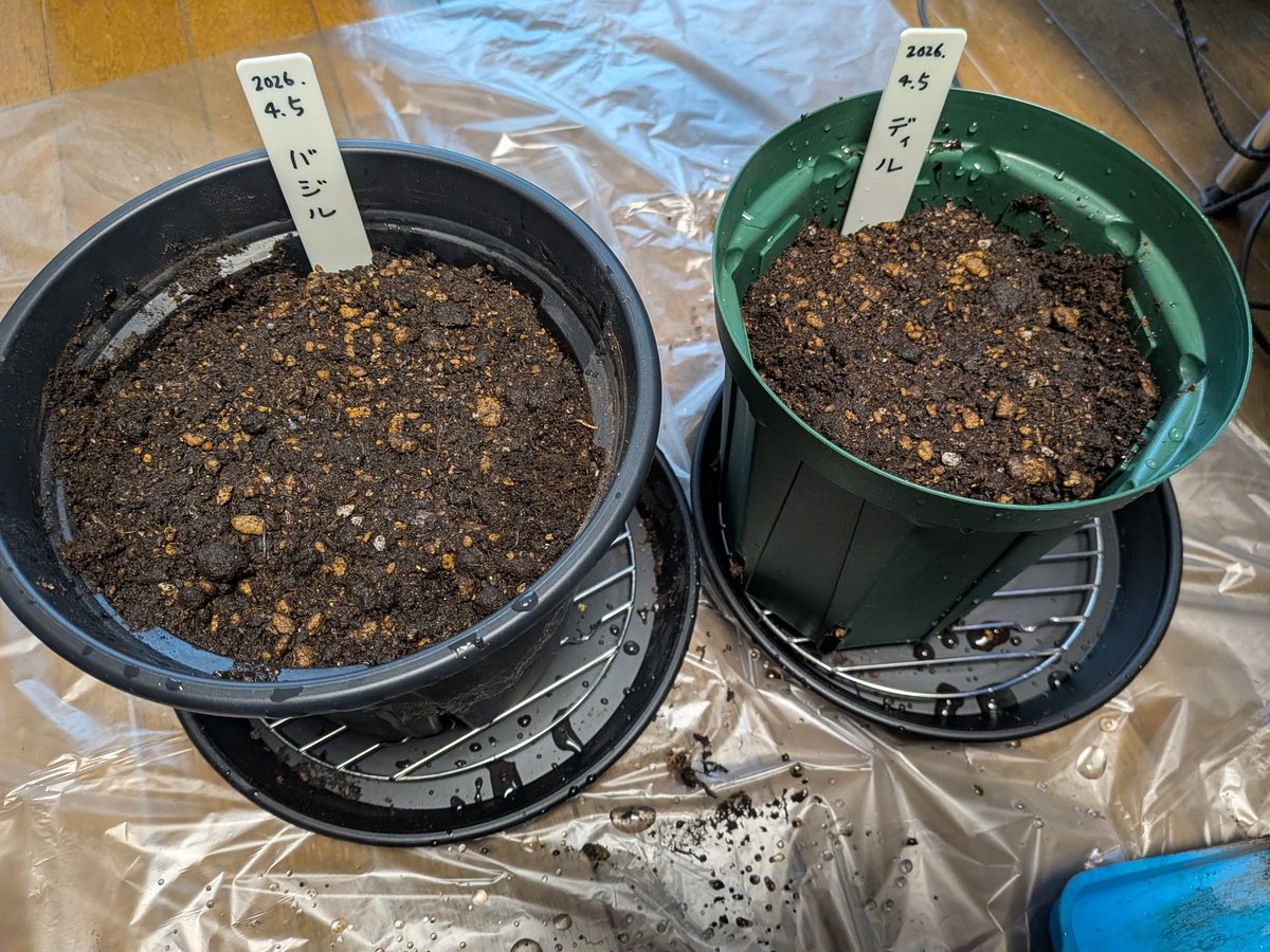 shall〜北国の室内ハーブ園 tweet media