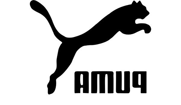 ぺんぎん🐧 tweet media