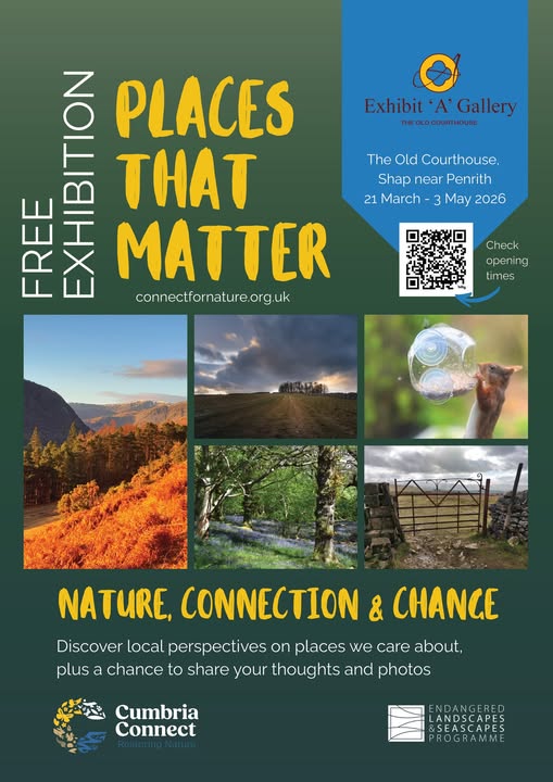 Visit Eden tweet media