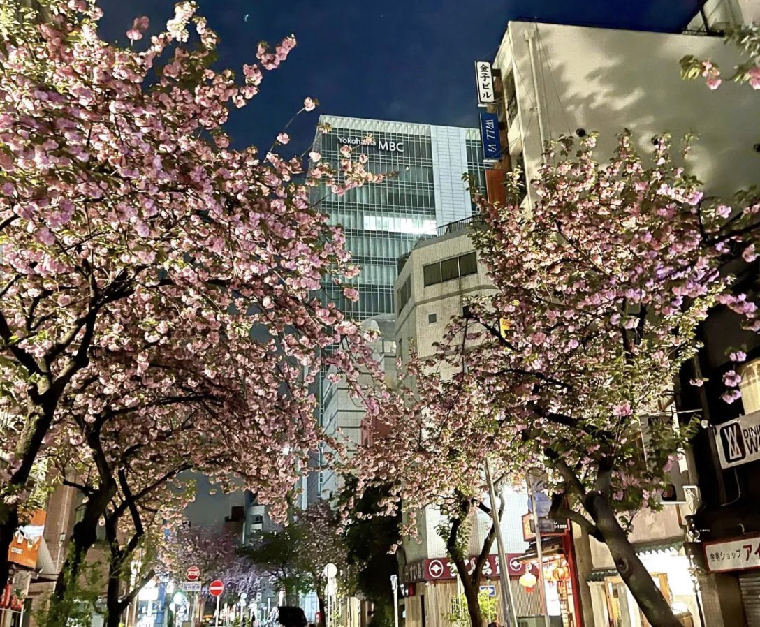 ヨコハマ経済新聞 編集部 tweet media