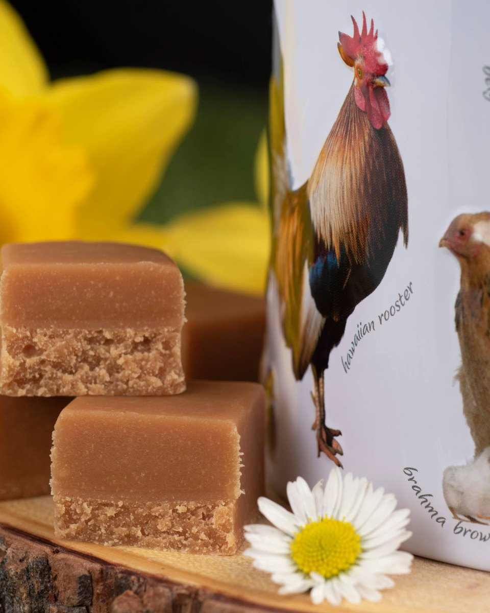 Sip, Sweeten, Repeat🌸 Spring is officially in the air, and there’s no better way to soak up the sun than with a mid-day tea break.

Pairing your favourite brew with the melt-in-your-mouth texture of Gardiners of Scotland fudge for a moment of pure spring bliss! #Gardiners