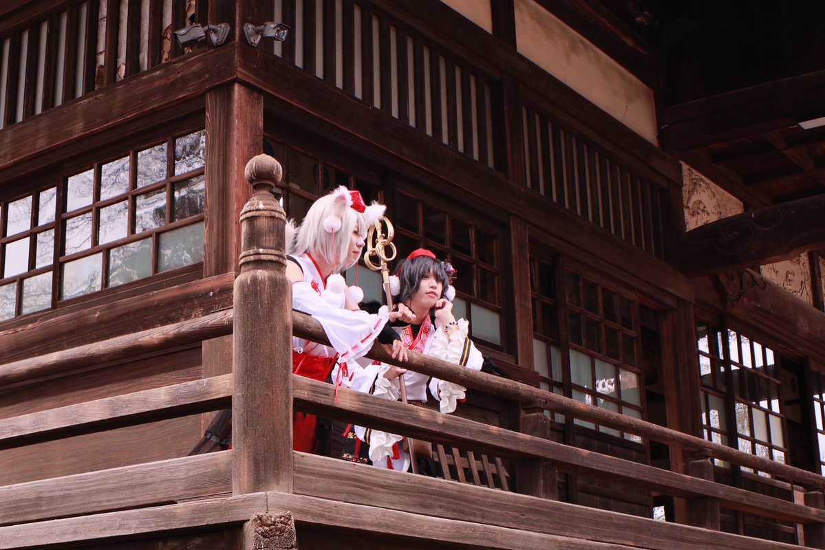 ニワトリ＠ tweet media