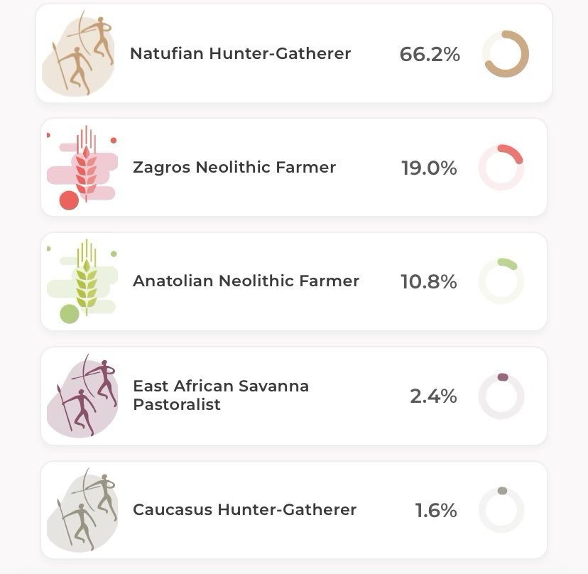 العدناني 🇸🇦 tweet media